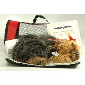 stuffed yorkshire terrier