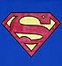 Ladies Blue Superman Logo T Shirt Blue Small