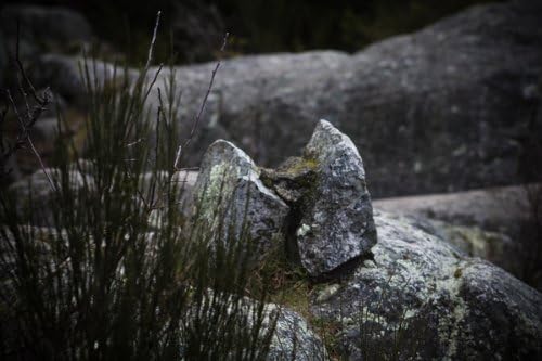 Acrylic-Mounted Artwork by CarlyErin O'Neil: Seat