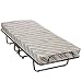 Roll-Away Bed on Wheels Image