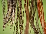 Reggae Rhumba 5 Feather Hair Extension Kit, Natural Grizzly, Olive and Golden Brown Shades