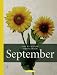 Bücher : Das Buch vom strahlenden September