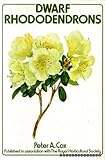 Dwarf rhododendrons