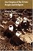 Books : Origins of the Druze People and Religion (Saqi Essentials)