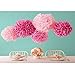 WOMHOPE® 15 Pack - 10 Inches Tissue Paper Pom Pom Flower Ball Pom-poms - Wedding Party Supplies Decorations Birthday Parties and Baby Showers Party Decorations Party Tissue Pom Poms (Light Purple)