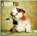 Guinea Pigs 2015 Square 12x12 (Multilingual Edition)