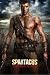 Spartacus: Vengeance - The Complete Second Season