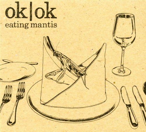 Original album cover of ok by ok