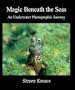 Magic Beneath the Seas: An underwater photographic journey