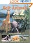 Soft Animals A to Z