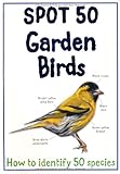 Spot 50 garden birds