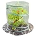 Image of Pop Up Mini Greenhouse