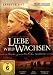 Produkt-Bild: Liebe wird wachsen