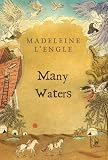 Many Waters (Madeleine L'Engle's Time Quintet)