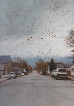 Taiyo Onorato and Nico Krebs: The Great Unreal