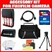 Deluxe Accessory Package Includs 16GB SDHC High Speed Memory Card with Card Reader, Deluxe Camera Bag, Mini HDMI Cable, 4x AA Rechargable Batteries, 5 Piece Lens Cleaning Kit for Fuji FinePix s2800, s2950, s3200, s4000 and HS20EXR Digital Cameras