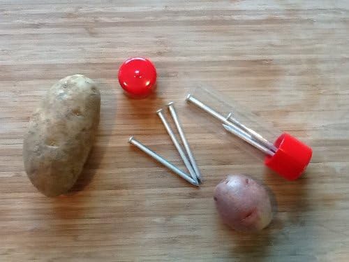 Potato Pals Baking, Cooking, Barbecuing Nails, Set of 6 (Aluminum)