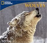 National Geographic: Wolves 2010 Wall Calendar