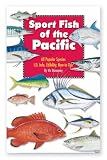 Sport Fish of the Pacific