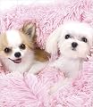 Pink Shag Dog Blanket By Susan Lanci from Susan Lanci Designs