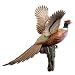 "Roooooster" Pheasant Wall Mount