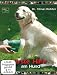 Erste Hilfe am Hund Image of Erste Hilfe am Hund