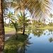 Wallmonkeys Peel and Stick Wall Decals - Golf Resort in Dorado, Puerto Rico - Removable Graphic