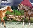 Breyer Liver Chestnut Equestrian Land Conservation Resource Benefit Model