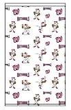 Roller & Solar Shades MLB Washington Nationals Mascot Pattern -