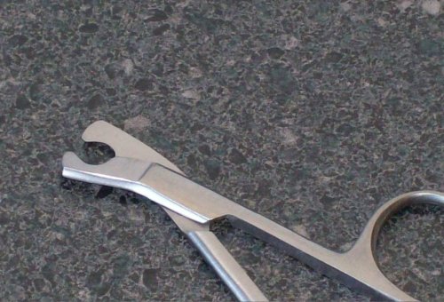 More image Cat Claw Nippers Quality Stainless Steel