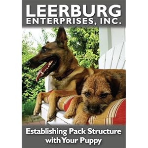 pack structure