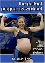 The Perfect Pregnancy Workout vol. 1