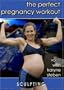 The Perfect Pregnancy Workout vol. 1