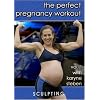 The Perfect Pregnancy Workout vol. 1
