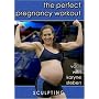 The Perfect Pregnancy Workout vol. 1