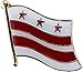 Flagline Washington, DC (District of Columbia) - State Lapel Pin