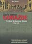 Safe Area Gorazde