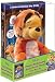 Pooh's Heffalump Halloween Movie (Limited Edition with Plush)