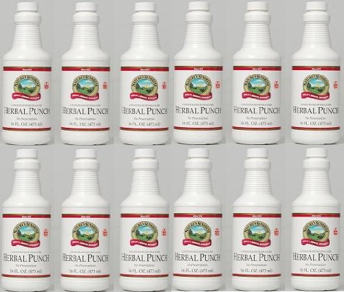 HERBAL PUNCH, Concentrated Beverage Mix, 4 Kids Too! (Pack of 12) 16 FL OZ. each 