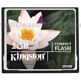 51gZcP7kvKL. SL500 AA280  Olympus E 410 Digital Camera Memory Card 2 GB Standard Compact Flash Memory Card
