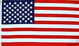 United States of America Flag (3' x 5')