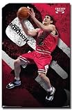 CHICAGO BULLS NBA KIRK HINRICH POSTER 07 08 NEW 4405