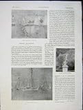 L'Art de Paysagiste Fait De La Navigation De Plaisance la Copie 1931 de Français de Cowes Deauville Image du produit