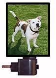 Dog Night Light - Staffordshire Bull Terrier - LED NIGHT LIGHT