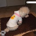 Dog Bath Robe Pink Rim with Duck Applique Logo Large (36cm/14