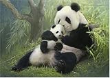 Review Jumbo Puzzle 01587 / Jumbo Puzzle - Cuddling Pandas 500 piece puzzle