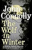 The wolf in winter