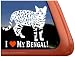 I Love My Bengal Cat Vinyl Window Decal Sticker