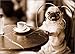 Cafe Pug Funny Dog Mother's Day Card