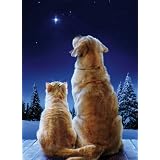 Avanti Christmas Cards, Christmas Miracle, 10 Count